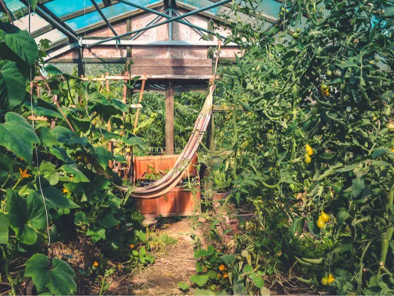 Best Places for WWOOFing