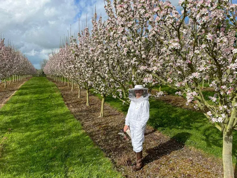 What to Do in WWOOFing